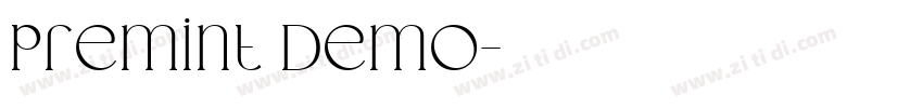 premint Demo字体转换